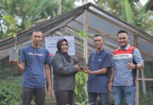 Bagian Dari Perhutanan Sosial, Hutan Pertamina Tanam Lebih Dari Enam Juta Pohon Enam Juta Pohon