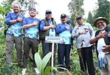 Pertamina Hijaukan Kembali Desa Besakih: Penanaman 200 Pohon di Kaki Gunung Agung PERTAMINA