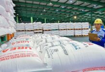 Isu Swasembada Pangan, Pupuk Indonesia Siap Berperan Dalam Ketahanan Pangan Nasional PT Pupuk Indonesia