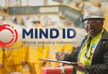 IPO BUMN, BEI Sambut Baik Rencana MIND ID dan Inalum IPO BUMN
