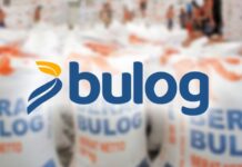 Gonta Ganti Dirut Bulog di Bawah Erick Thohir Dirut Bulog