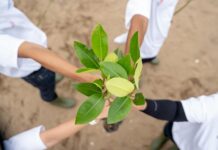 Telkom Pertegas Komitmen Energi Terbarukan di Hari Bumi 2025: Langkah Nyata Menuju Masa Depan Berkelanjutan Telkom