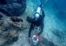 Peringati Hari Bumi 2025, Telkom Selenggarakan Konservasi Lingkungan Serentak di 4 Titik Lokasi di Indonesia di 4 Titik Lokasi di Indonesia