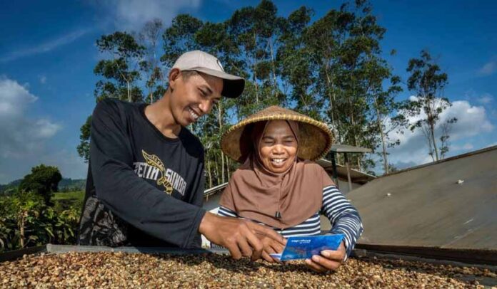 Salurkan Kredit di Segmen Mikro