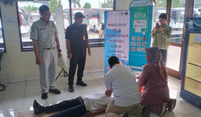 di Pool PO Primajasa