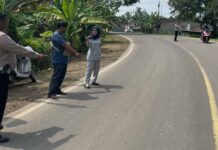 Pastikan Santunan, Jasa Raharja Tinjau TKP Kecelakaan Tabrak Lari di Citeras Tabrak Lari di Citeras