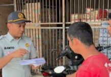 Jasa Raharja & UPTD Samsat Bukittinggi Turun ke Pasar Padang Lua: Sosialisasi Pemutihan Pajak Kendaraan di Banuhampu jasa raharja sumbar