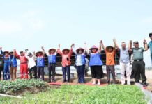 Pertamina Dorong Ketahanan Pangan, Energi Bersih Aliri 25 Hektar Lahan Pertanian Berkelanjutan Milik Warga Kalijaran Milik Warga Kalijaran