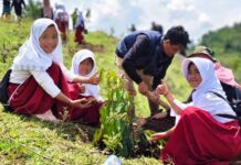 Jaga Keanekaragaman Hayati, Telkom Aktif Lakukan Penanaman Bibit Pohon di Berbagai Daerah di Berbagai Daerah