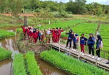 Perkuat Ketahanan Energi hingga Ketahanan Pangan, Pertamina Kembangkan 110 Inovasi lewat Program PFmuda lewat Program PFmuda