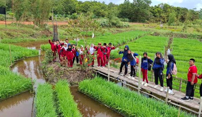 lewat Program PFmuda lewat Program PFmuda