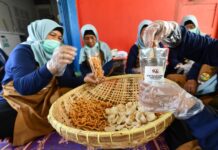 Pertamina Wujudkan Sentra Perikanan Terintegrasi di Banyuasin Sumsel Pertamina