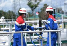 Pertamina NRE Dorong Ketahanan Energi dengan EBT dan Pengelolaan Transisi Energi yang Efisien Energi yang Efisien