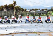 Pertamina Berdayakan Desa Rantau Dedap: Dari Energi Bersih hingga Wisata Edukasi Pertamina