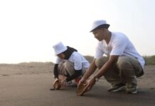 Penyu-lamat 2025: Aksi Sukarelawan Karyawan Telkom Edukasi Sampah dan Konservasi Penyu di Pantai Pelangi Yogyakarta Telkom