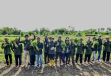 Inovasi di Tengah Kemarau, Pertamina Tanam Harapan Bersama Petani Desa Sobokerto Pertamina