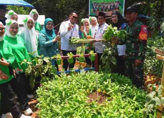 Dukung Ketahanan Pangan, Pertamina Patra Niaga Sulawesi Ajak Kelompok Wanita Tani Memanen Bersama Pertamina