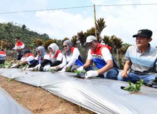 Lewat Tanggung Jawab Sosial Lingkungan, Pertamina Edukasi Keberlanjutan Energi Pertamina