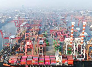 Port Stay Dipangkas, Transformasi Pelindo Perkuat Logistik Transformasi Pelindo