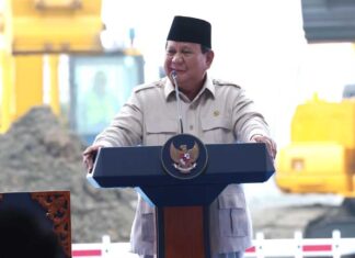 Target Setoran Danantara Rp800 Triliun per Tahun, Strategi Baru Kelola Aset BUMN Target Setoran Danantara