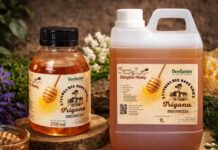 BeeFam’s Kembangkan Usaha Madu Trigona di Jakarta Barat melalui LinkUMKM BRI BeeFam’s