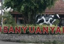 Intip Kisah Desa Banyuanyar, Desa Ramah Lingkungan yang Terus Maju Lewat Pemberdayaan Desa BRILiaN Desa BRILian