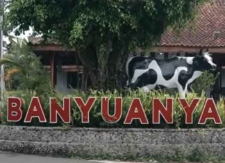 Intip Kisah Desa Banyuanyar, Desa Ramah Lingkungan yang Terus Maju Lewat Pemberdayaan Desa BRILiaN Desa BRILian