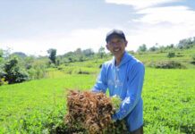 Desa BRILiaN Tompobulu: Bukti Nyata Sinergi Potensi Lokal dan Digitalisasi Dorong Pertumbuhan Ekonomi Berkelanjutan Desa Tompobulu