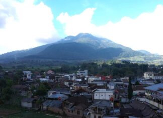 Mengenal Desa BRILian Sumowono, Desa Sayur yang Tumbuh dan Terus Berinovasi Bersama BRI Desa BRILiaN