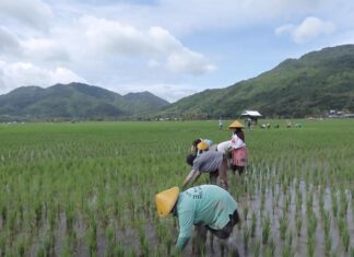Berbasis Gotong Royong, Desa Manemeng Perkuat Ekosistem Ekonomi Kerakyatan melalui Program Desa BRILiaN Desa Manemeng