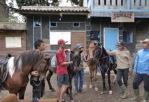 Kampung Koboi Tugu Selatan, Wujud Transformasi Desa Berbasis Potensi Lokal dalam Program Desa BRILiaN Kampung Koboi