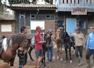 Kampung Koboi Tugu Selatan, Wujud Transformasi Desa Berbasis Potensi Lokal dalam Program Desa BRILiaN Kampung Koboi