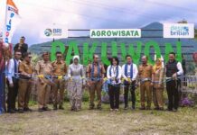 Desa Pajambon Perkuat Ekonomi Lokal Melalui Program Desa BRILiaN Desa Pajambon