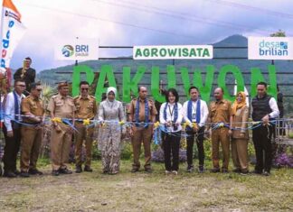 Desa Pajambon Perkuat Ekonomi Lokal Melalui Program Desa BRILiaN Desa Pajambon