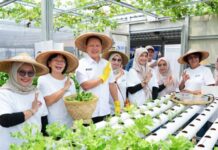 Perempuan Berdaya Lewat Program BRInita, Intip Kisah Inspiratif KWT Buaran Citra Lestari Manfaatkan Lahan Sempit untuk Tanaman Produktif Buaran Citra Lestari