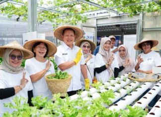 Perempuan Berdaya Lewat Program BRInita, Intip Kisah Inspiratif KWT Buaran Citra Lestari Manfaatkan Lahan Sempit untuk Tanaman Produktif Buaran Citra Lestari