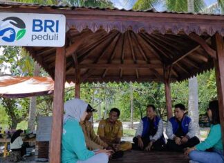 Dari Potensi Lokal ke Prestasi Nasional, Desa BRILiaN Sausu Tambu Perkuat Ekonomi Pesisir Sausu Tambu