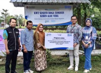 Perempuan Sleman Berdaya Lewat Budidaya Lidah Buaya, Kisah Kelompok Wanita Tani Sumber Boga Tamanan Tumbuh Bersama Dukungan BRI Sumber Boga Tamanan