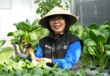 Dari Kartini untuk Bumi: BRI Berdayakan Perempuan Lewat Urban Farming Program BRInita Urban Farming