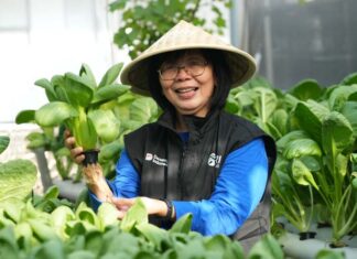 Dari Kartini untuk Bumi: BRI Berdayakan Perempuan Lewat Urban Farming Program BRInita Urban Farming
