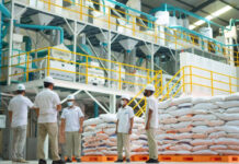 Dony Oskaria Tegaskan Swasembada Pangan Bukan Sekadar Wacana Swasembada Pangan