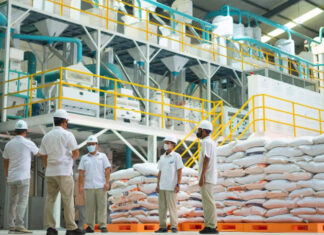 Dony Oskaria Tegaskan Swasembada Pangan Bukan Sekadar Wacana Swasembada Pangan