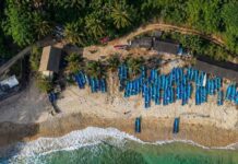 Sentuhan Pemberdayaan BRI Perkuat Lompatan Desa Sumberejo Pacitan Jadi Motor Ekonomi Desa yang Kian Bersinar Desa Sumberejo