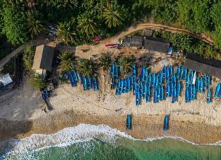 Sentuhan Pemberdayaan BRI Perkuat Lompatan Desa Sumberejo Pacitan Jadi Motor Ekonomi Desa yang Kian Bersinar Desa Sumberejo