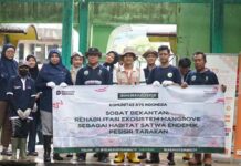 Kolaborasi Telkom dan AYS Indonesia Dorong Pemulihan Ekosistem Alam di Tarakan telkom
