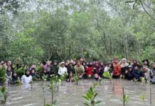 Kolaborasi Telkom dan AYS Indonesia Dorong Pemulihan Ekosistem Alam di Tarakan Telkom