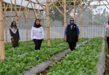 Sukses Nasabah PNM Mekaar Ubah Limbah Jadi Sumber Penghidupan lewat Sinergi Ultra Mikro BRI nasabah PNM Mekaar