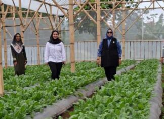 Sukses Nasabah PNM Mekaar Ubah Limbah Jadi Sumber Penghidupan lewat Sinergi Ultra Mikro BRI nasabah PNM Mekaar