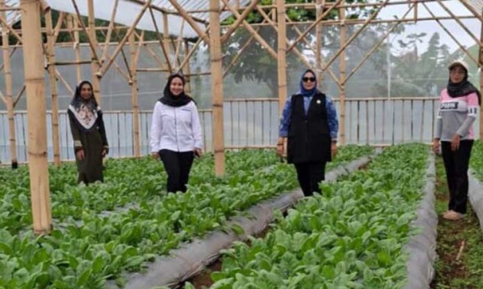 nasabah PNM Mekaar nasabah PNM Mekaar