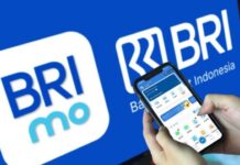 Pengguna Super Apps BRImo Tembus 47,8 Juta User, Jadi Andalan Kebutuhan Finansial Masyarakat BRImo
